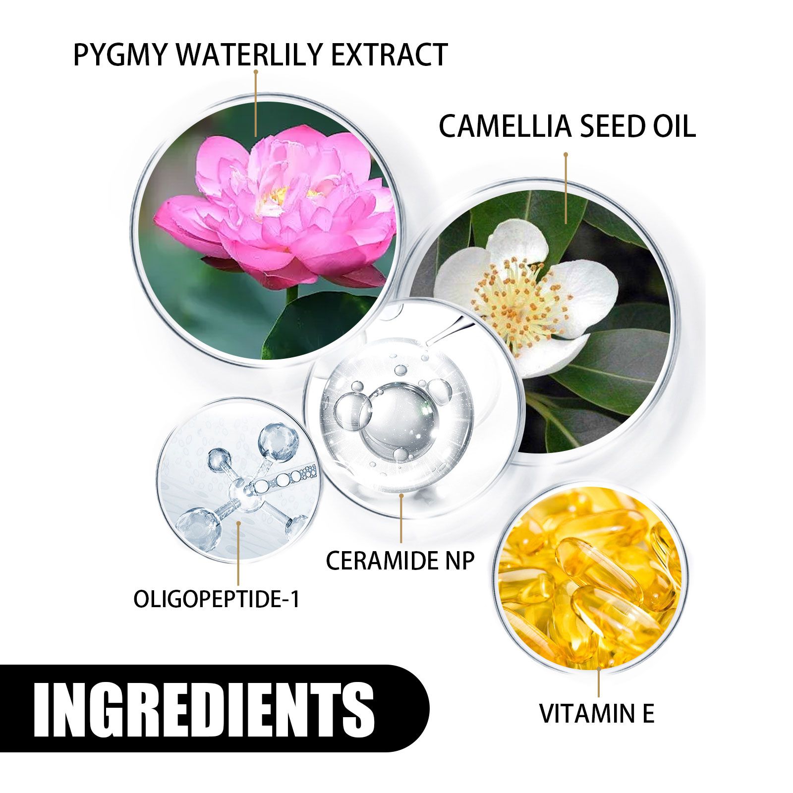 EELHOE Brightening Moisturizing Cream